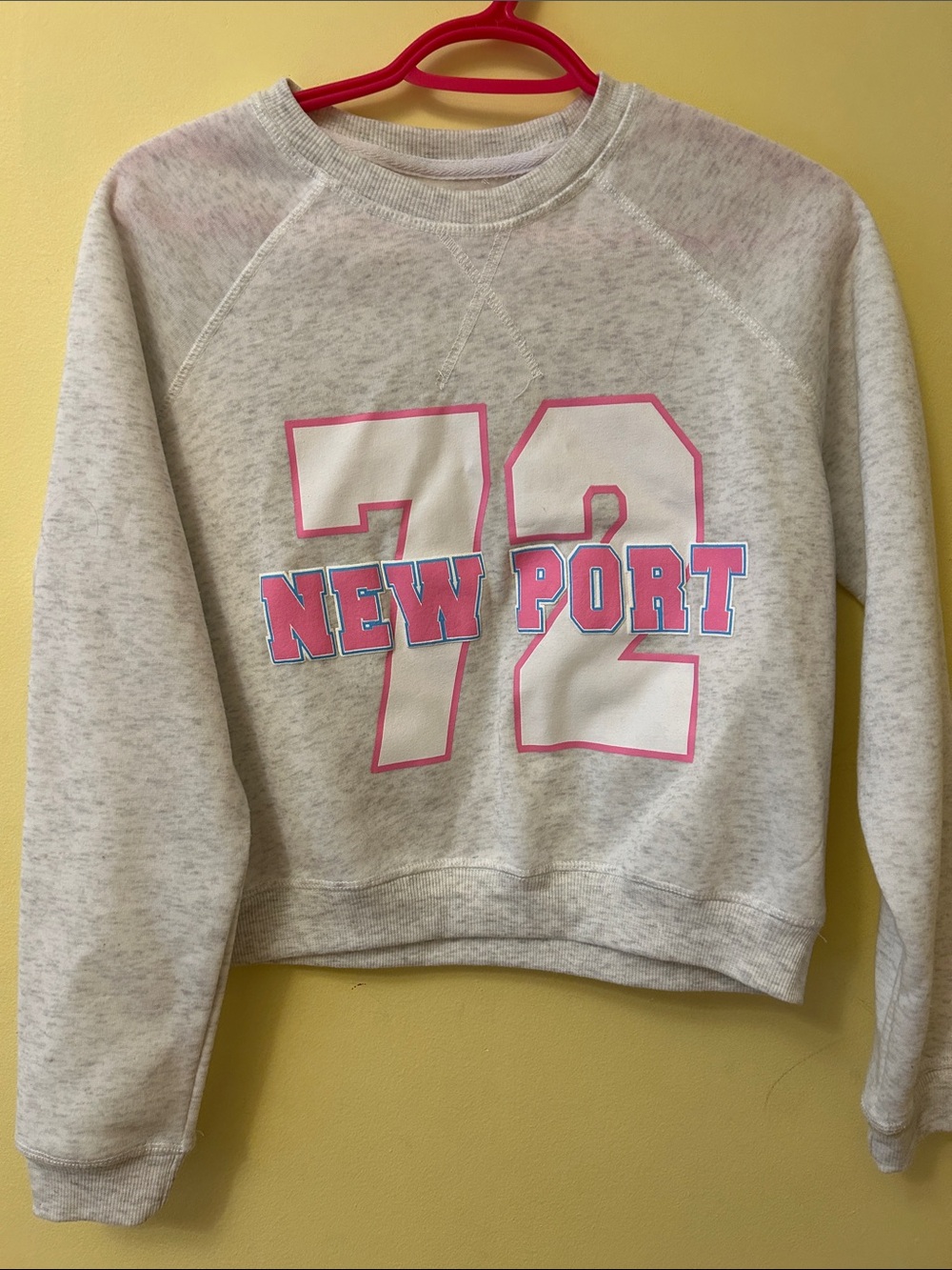 Gray Cropped Sweatshirt - Pink/White Graphic